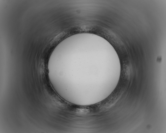 X0000097920220200803281433