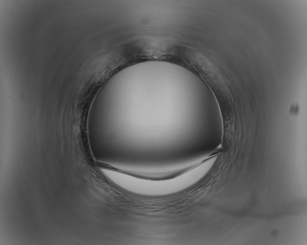 X0000097920221200803281433