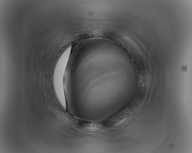 X0000097920223200803281433