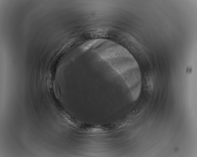 X0000097920224200803281433