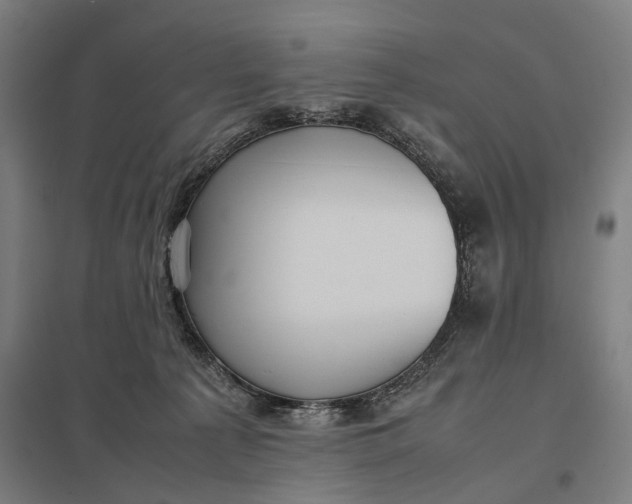 X0000097920225200803281433