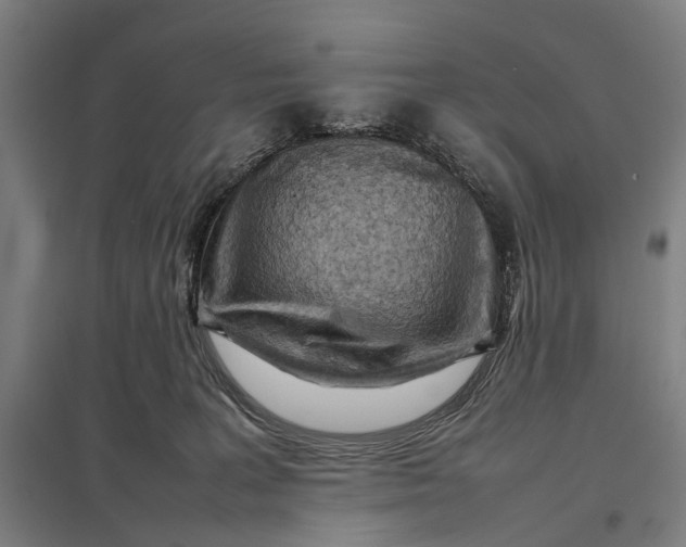 X0000097920227200803281433