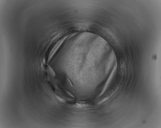 X0000097920228200803281433