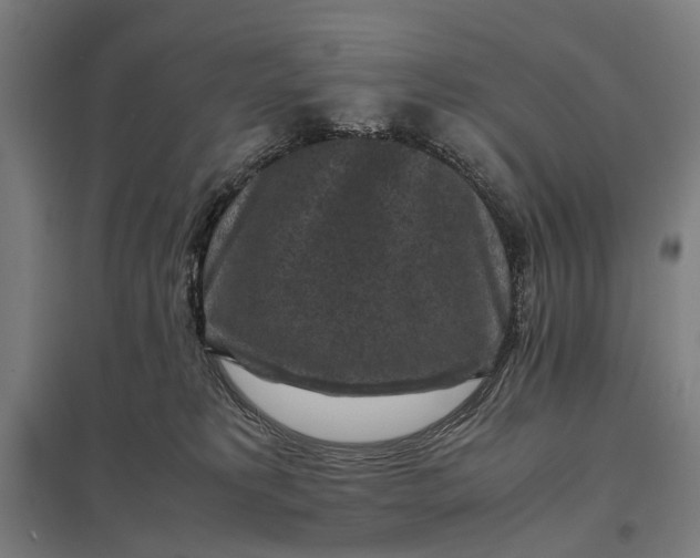 X0000097920229200803281433