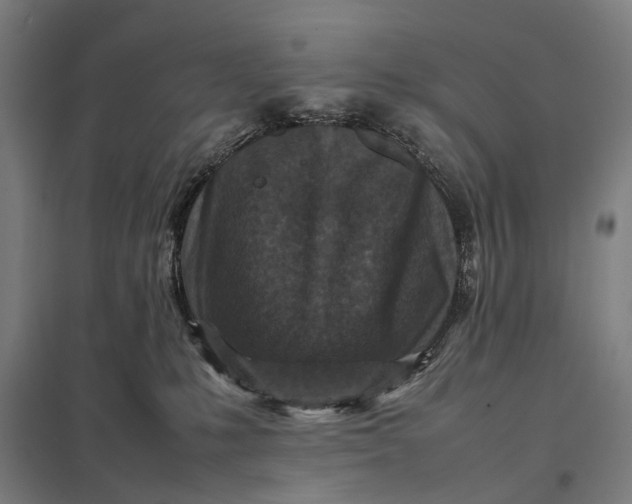 X0000097920231200803281433