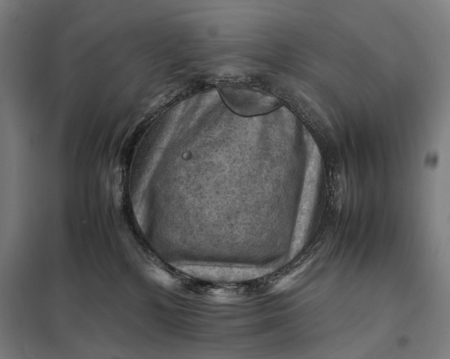 X0000097920232200803281433