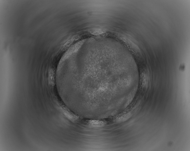 X0000097920234200803281433