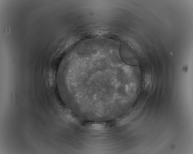 X0000097920236200803281433