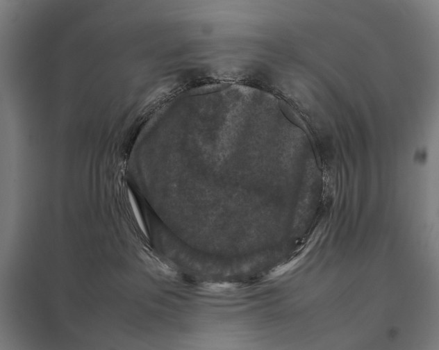 X0000097920237200803281433