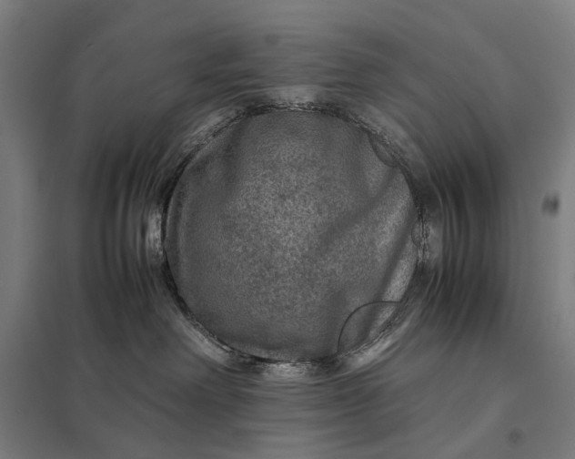 X0000097920238200803281433