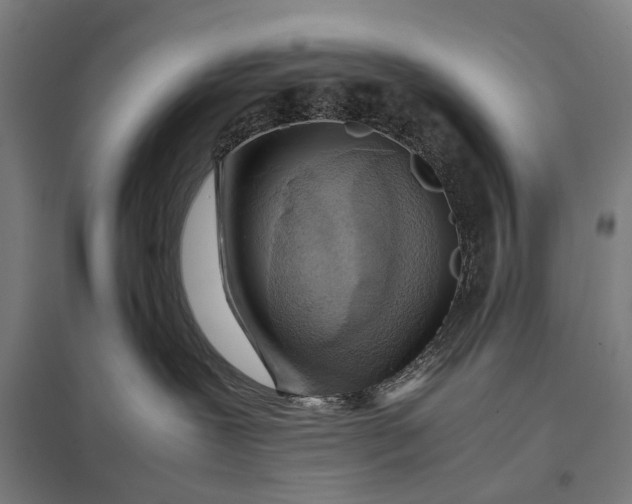 X0000097920239200803281433