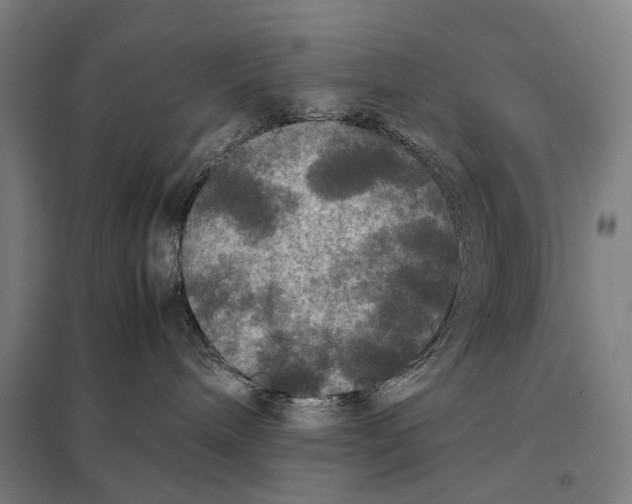 X0000097920240200803281433