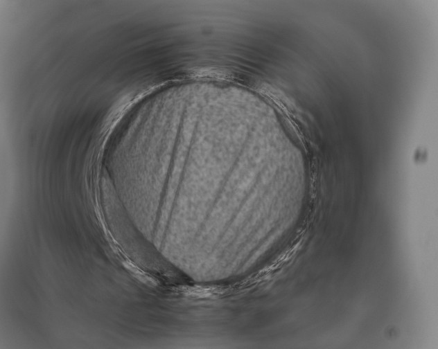 X0000097920241200803281432