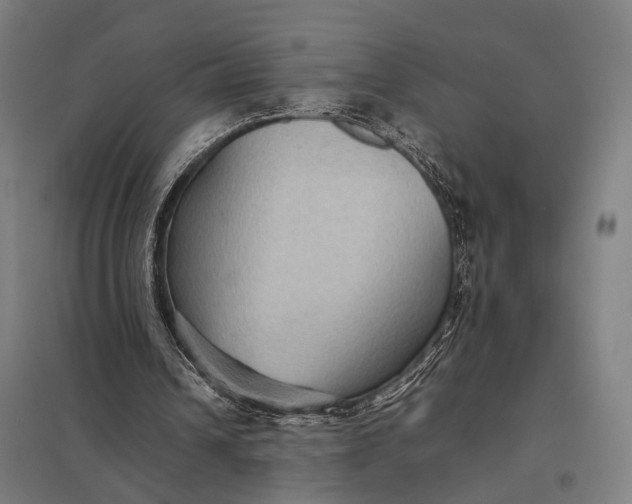 X0000097920242200803281432