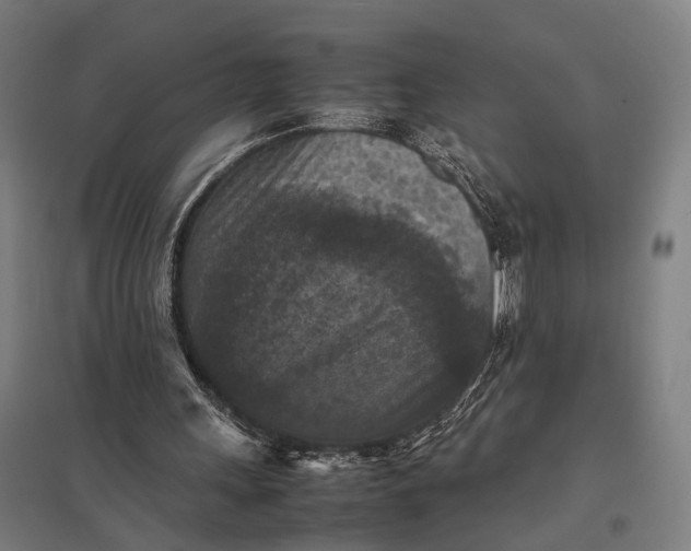 X0000097920243200803281432