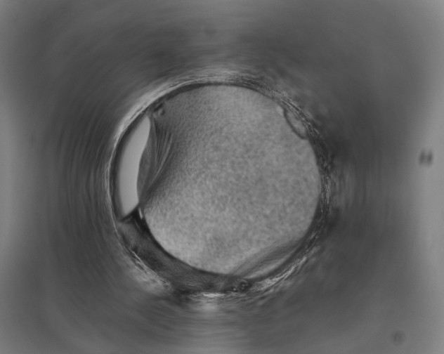 X0000097920244200803281432