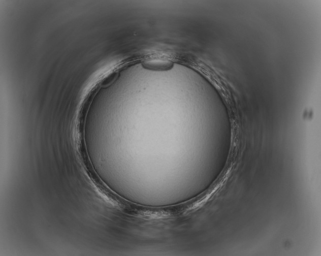 X0000097920245200803281432