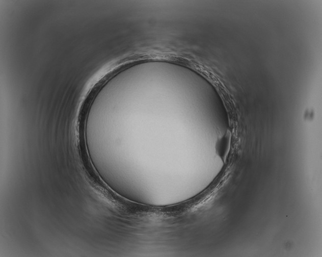 X0000097920246200803281432