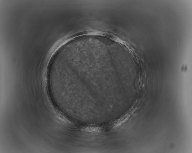 X0000097920247200803281432