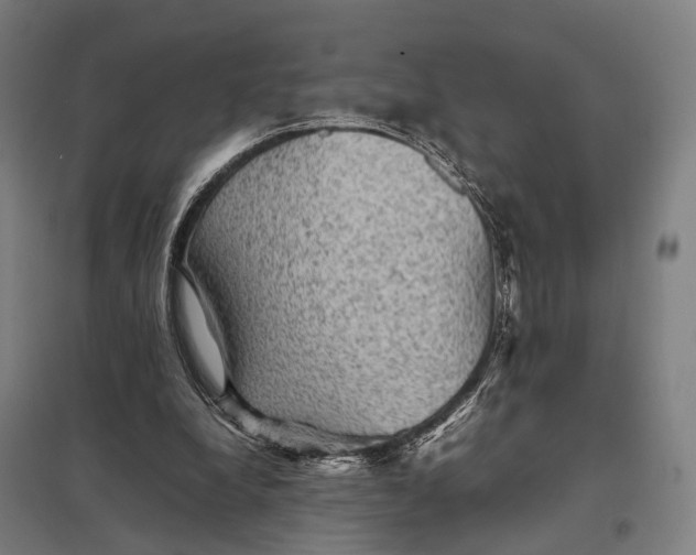 X0000097920248200803281432