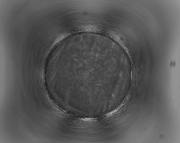 X0000097920249200803281432