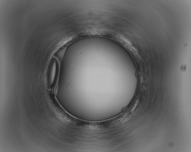 X0000097920250200803281432