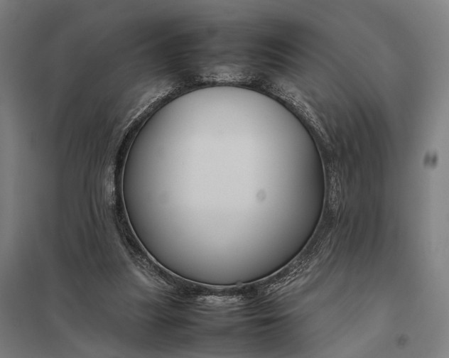 X0000097920251200803281432