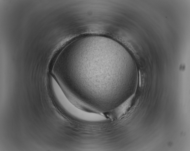 X0000097920252200803281432