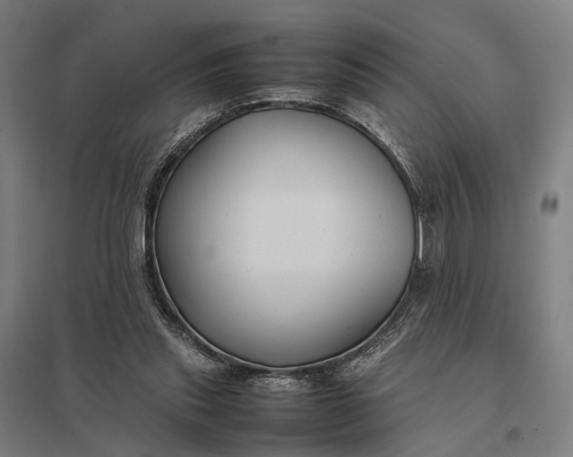 X0000097920253200803281432