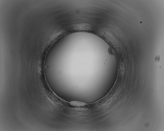 X0000097920255200803281433