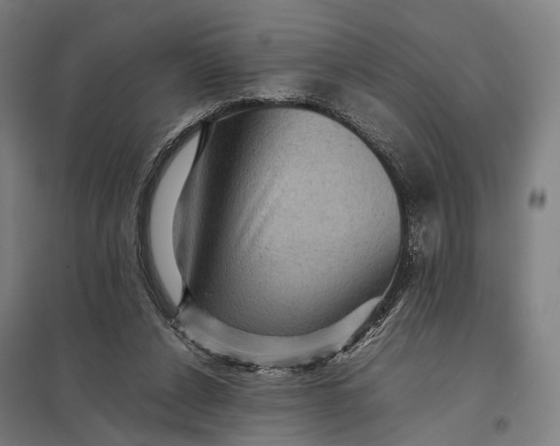 X0000097920256200803281433