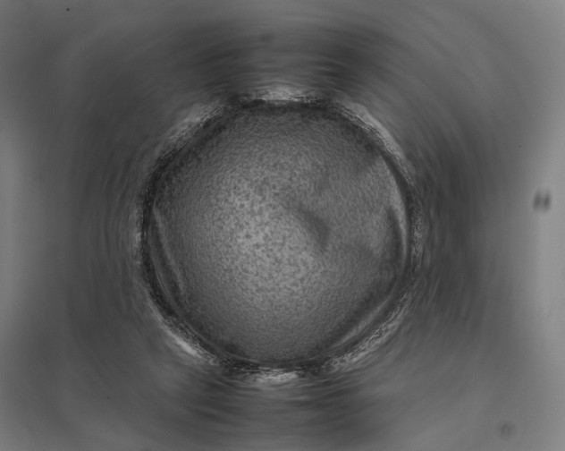 X0000097920257200803281433