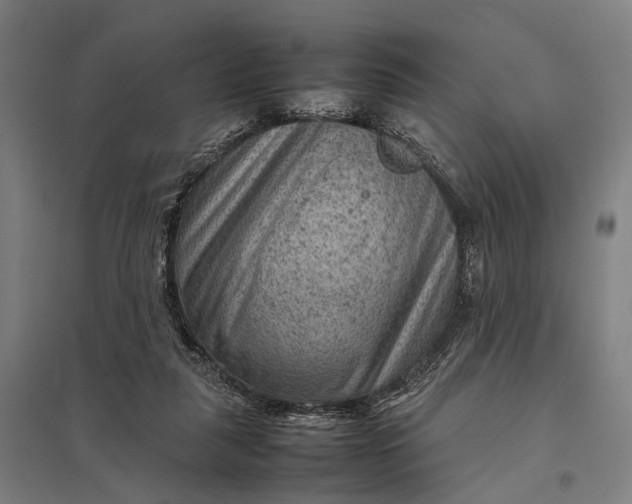 X0000097920259200803281433