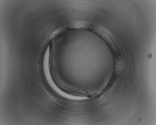 X0000097920260200803281433