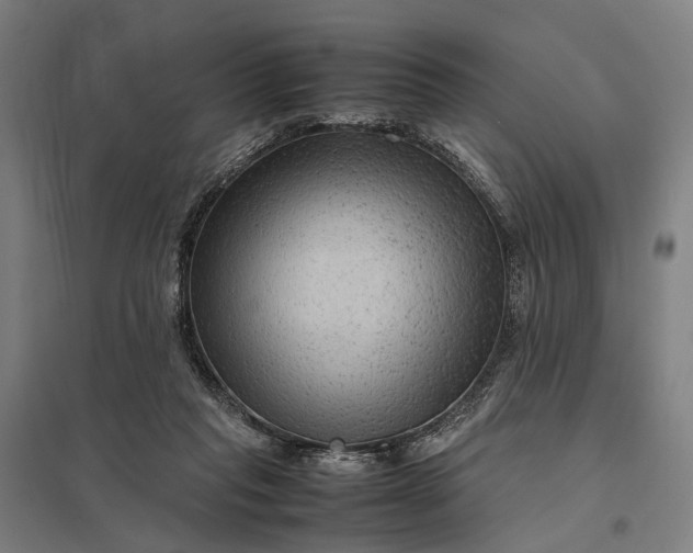 X0000097920261200803281433