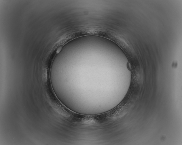 X0000097920262200803281433