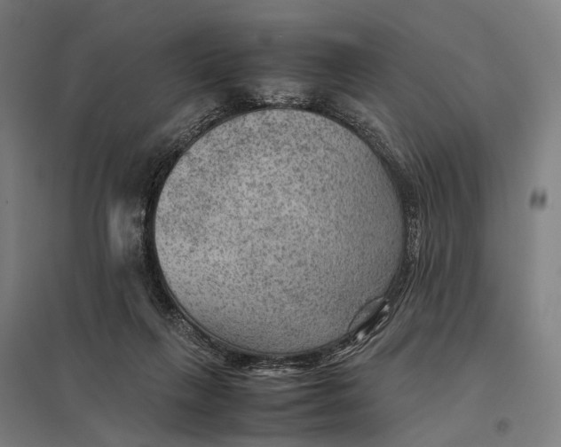 X0000097920263200803281433