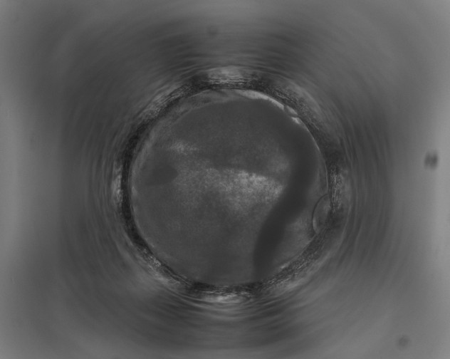 X0000097920267200803281433