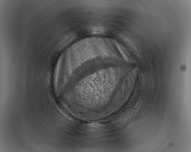 X0000097920269200803281433