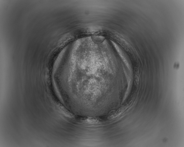 X0000097920270200803281433