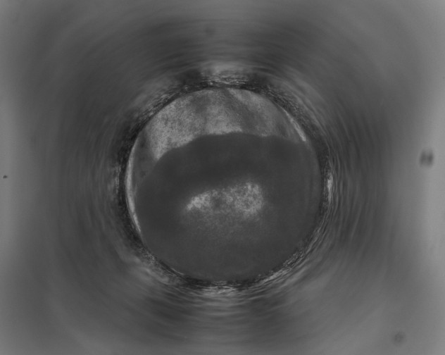 X0000097920271200803281433