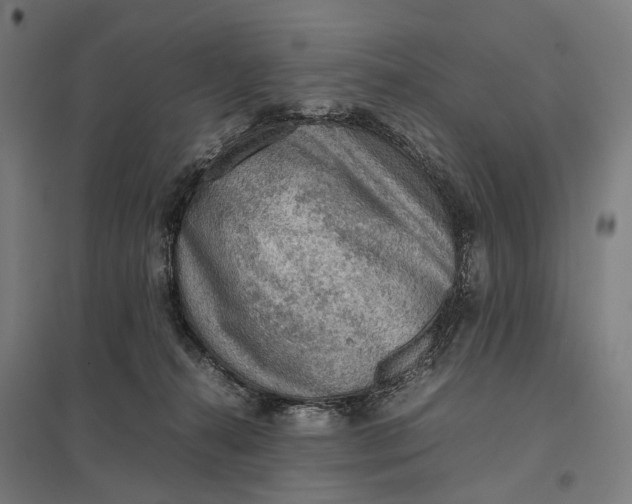 X0000097920272200803281433