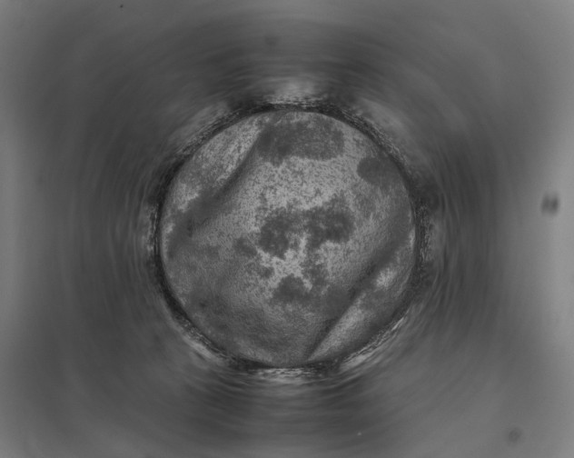 X0000097920273200803281433