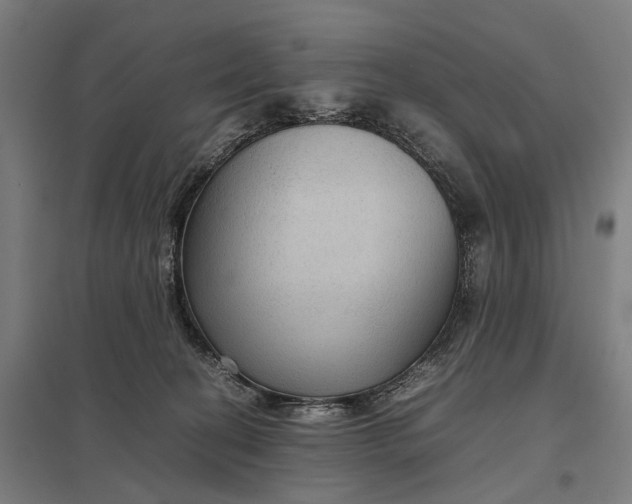 X0000097920274200803281433