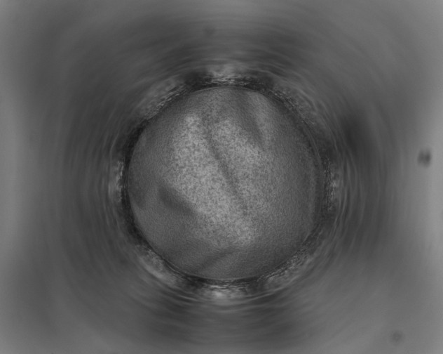 X0000097920275200803281433