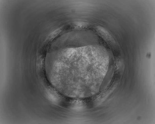 X0000097920276200803281433