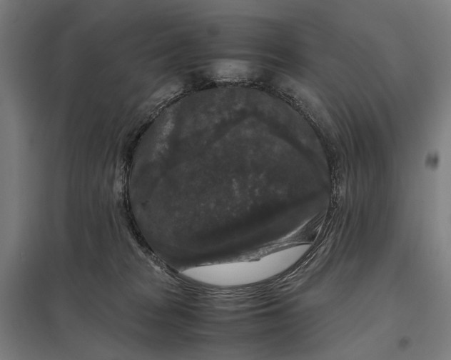 X0000097920277200803281433