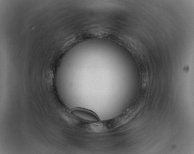 X0000097920279200803281433