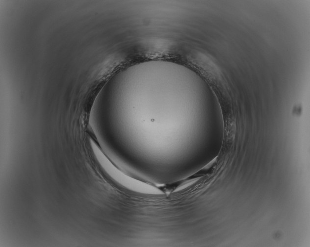 X0000097920280200803281433