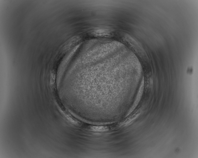 X0000097920281200803281433